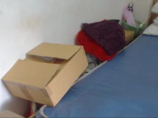 下一个 事 右边 10 min 后 该 divorce 白 daughterâs 和 wifeâs 新 英国广播公司