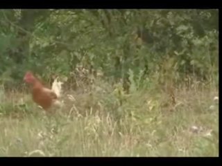 Eggs-cellent: brezplačno harlot hd umazano posnetek posnetek 2f