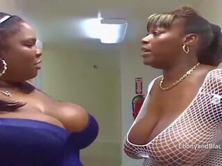 Heavyweight Black Bbw's Suck on White Cock: Free HD porn 09 | xHamster