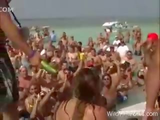 Osli a kozičky na the voda na divoký čas holky